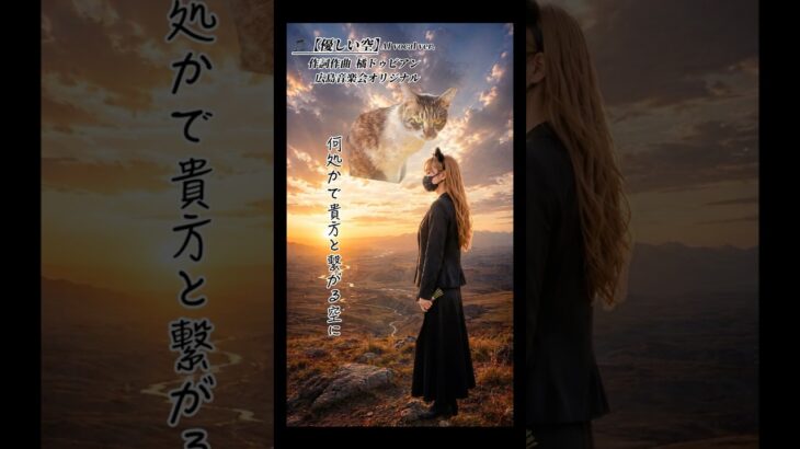 【旅立ちから1週間】#愛猫の旅立ち #猫糖尿病 #広島音楽会 #橘ドゥビアン #優しい空 #保護猫 #シニア猫 #保護猫活動 #shorts