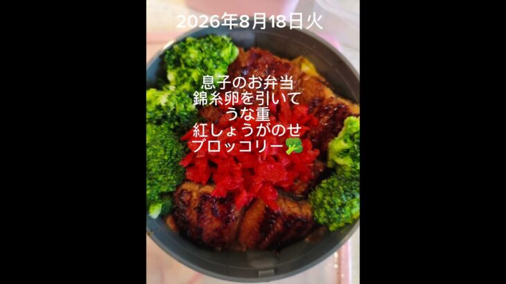 #糖尿病弁当#パパ弁当#息子弁当#中度障がい児# うな重# 時短10分#shorts sh