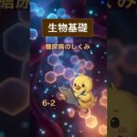 【共テ生物基礎】13秒の限界ノック！糖尿病のしくみと再吸収5選（第2弾）