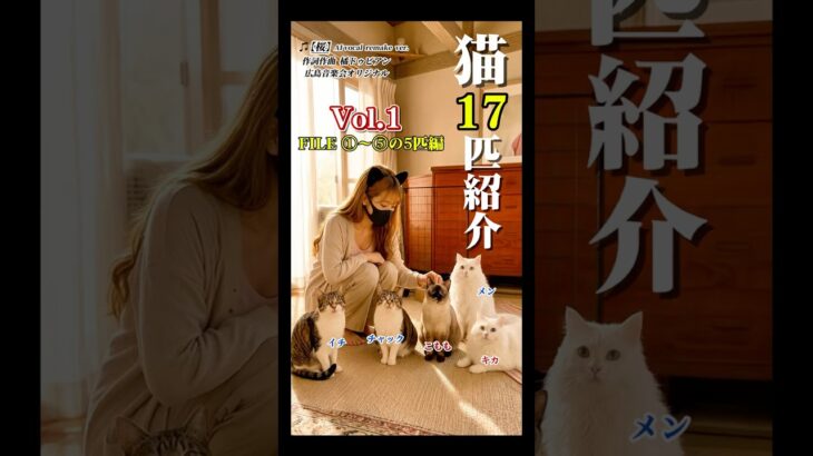 【猫17匹紹介 Vol.1】#猫糖尿病 #猫腎不全 #広島音楽会 #橘ドゥビアン #桜 #保護猫 #シニア猫 #保護猫活動 #愛猫の旅立ち #shorts
