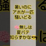 2026年8月10日　心のポエム😂　　#糖尿病#アラサー #ポエム