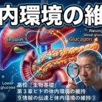 【情報の伝達と体内環境の維持③(糖尿病・血糖量の調節)】「生物基礎」 第3章 ヒトの体内環境の維持 [9]