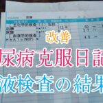 糖尿病克服日記31 血液検査の結果23 改善😆