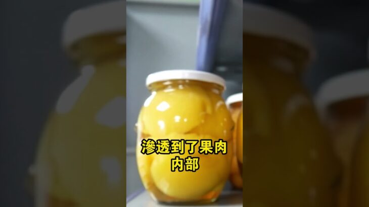 💥 天啊！直奔糖尿病的4大隱形殺手！血糖遲早飆破表，這 4 種食物你一定吃過！🔥#糖尿病元凶#血糖控制#高血糖食物#健康警訊#食療養生#shorts#健康飲食指南 #養生秘訣 #文明開化