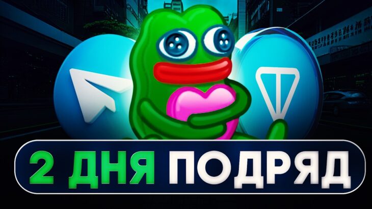 48 часов подряд ФЛИПАЮ Telegram подарки NFT – итоги