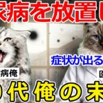 【猫ミーム】「後悔」糖尿病を放置した50代俺、取り返しのつかない結末に…