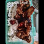 #糖尿病弁当#時短5分#パパ弁当#寝坊した朝弁当#shorts