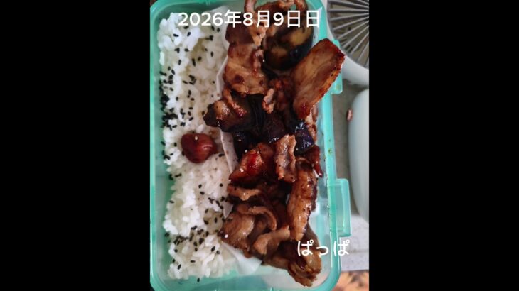 #糖尿病弁当#時短5分#パパ弁当#寝坊した朝弁当#shorts