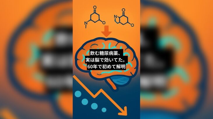飲む糖尿病薬、実は脳で効いてた。60年で初めて解明
