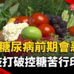 7成糖尿病前期會惡化！科技打破「控糖苦行」印象  機能主食新選擇｜#寰宇新聞 @globalnewstw