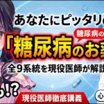 【完全解説】あなたにピッタリの「糖尿病の薬」が分かる！全9系統の特徴・作用機序・低血糖リスク・心腎保護まで現役医師が徹底講義 💊🩺