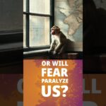 Art Machine: Says Good Morning Little Monkey