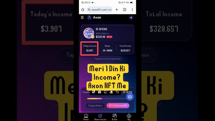 Axon NFT Me Meri 1 Din Ki Income Kitni Hai