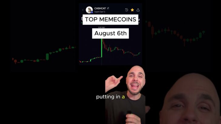 CASHCAT Listing and Mancer NFT launch | August 6th  #memecoins #crypto #trading