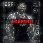 CSF MOG NFT Collection Is Live! 💪🏼🪙 #nft #mog #gym #sbd #weights #xrpl #xrpledger