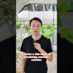 Commercial NFT Hydroponic Channel | Nutrient Film Technique for Healthy Plants#NFTHydroponics