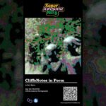Day 401 Bjave P1410783 ‘CliffsNotes in Form’ Hiroshima Japan Glitch Camera Photography Opensea NFT
