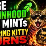 HUGE ROBINHOOD NFT MINTs & ROARING KITTY BURNS