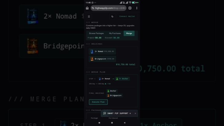 How to merge multiple packages in one NFT