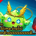 🔴LIVE – MapleStory N (NFT) EP. 66 – ต่านบอก chaosSlime ง่ายไป Devบอกด้ายยยยยยดิ…