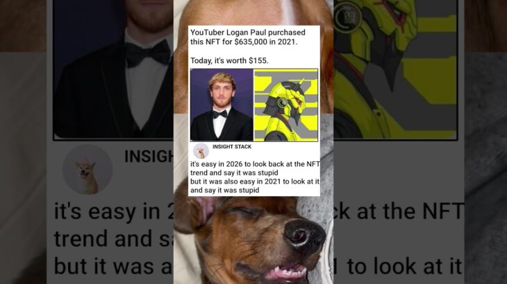 Logan Paul Lost $634,845 on This NFT 😳