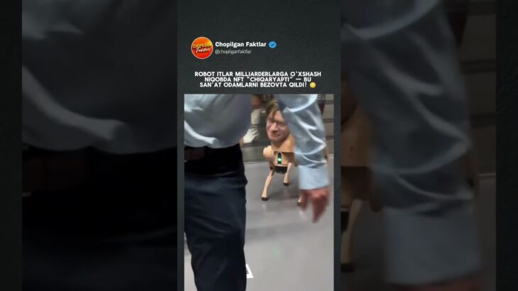 Milliarder niqobidagi robot itlar NFT chiqarmoqda! 😳 #shorts #viral #uzbekistan