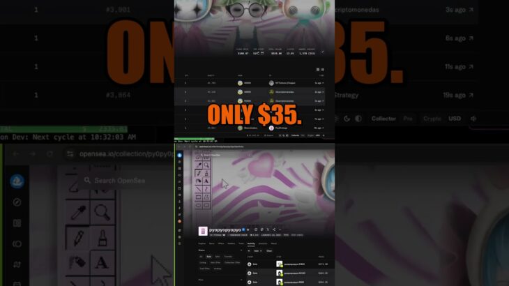 Moon Dev Lost $202 on ONE NFT and It Gets Worse