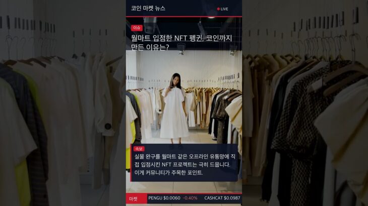 월마트 입점한 NFT 펭귄, 코인까지 만든 이유는?