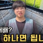 초보자도 따라 할 수 있는 NFT 수경재배 스마트팜 만들기｜배관 설치부터 스마트폰 자동관수까지💡