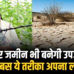 बंजर जमीन और खारे पानी में भी होगी खेती! पॉलीहाउस-NFT तकनीक ने बदली किसानों की तस्वीर #hydroponics