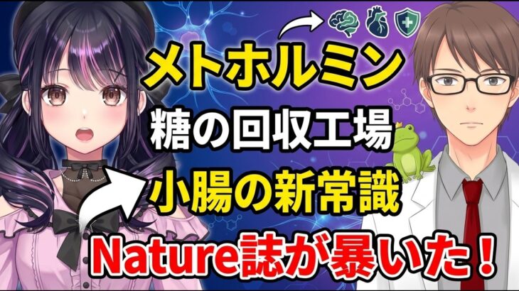 【糖尿病薬の真実】なぜメトホルミンは血糖値を下げるのか？Nature誌が公表した100年目の新常識「小腸が糖の回収工場になる」驚異のメカニズムと正しい飲み方を現役医師が徹底講義 💊🧬✨