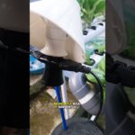 PAKET HIDROPONIK INSTALASI hidroponik NFT RUMAHAN #hidroponik #tanamanhidroponik