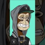 The 1,300,000$ NFT Monkey 🐒