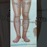 Tiểu đường. Diabetes. 糖尿病