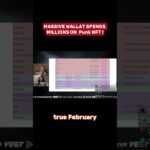 Whale Wallet Spends MILLIONS on a Single Punk NFT @tryfomo Shorts