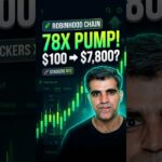 Why Stackers XYZ NFT Gained 78x on Robinhood Chain! 📈 Full Breakdown