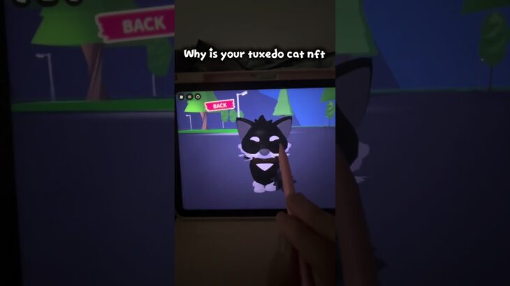 Why is your tuxedo cat nft?: