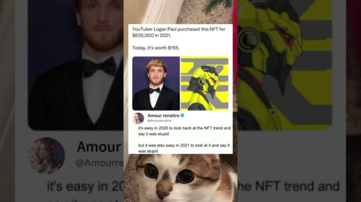 YouTuber Logan Paul purchased this NFT for $635,000in 2021. #memes #funny#shorts