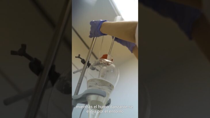 descripción de capsulas NFT