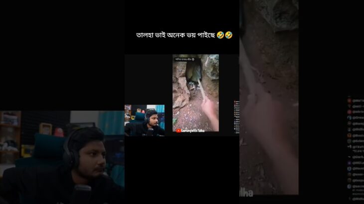 তালহা ভাই ফানি ভিডিও #freefire #nft #talha_gaming #funny