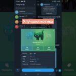Улучшил котика #врек #fyp #nft #telegram #altgram