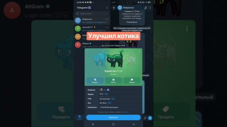 Улучшил котика #врек #fyp #nft #telegram #altgram