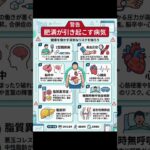 肥満はアカン　#理学療法士 #kindle #健康 #肥満 #糖尿病