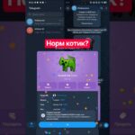 Норм котик? #nft #gift #telegram #fyp #врек #altgram