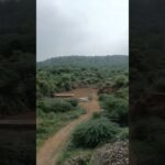 pahad #trrending #ztribe #bbkivines #trendingshorts #travelvlog #viralshorts #nft#jjk #viral #video