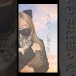 【祈り】#愛猫の旅立ち #猫糖尿病 #保護猫 #シニア猫 #保護猫活動 #shorts