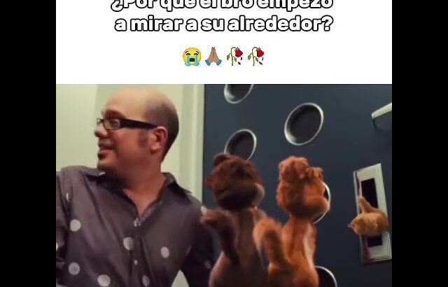 #solohumor #lasardillitas ardillitas #meme #humor #nft