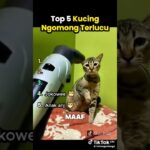 top lima kucing lucu #freefire #nft