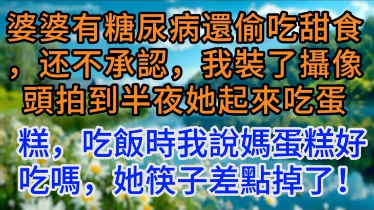 婆婆有糖尿病還偷吃甜食，还不承認，我裝了攝像頭拍到半夜她起來吃蛋糕，第二天吃飯時我說媽蛋糕好吃嗎，她筷子差點掉了！#婆媳关系 #婆媳矛盾 #家庭伦理 #情感故事 #婚姻故事 #夫妻关系