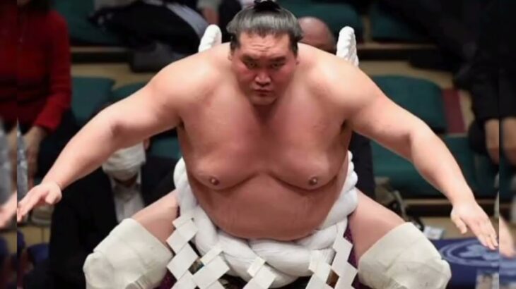 糖尿病に苦しんだ横綱⇒引退から半年…元照ノ富士〝最新ショット〟に反響「とにかく長生きしてくれ!!」「限界だった体に鞭打って…」「勇気をもらいました」